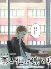 花儿与少年